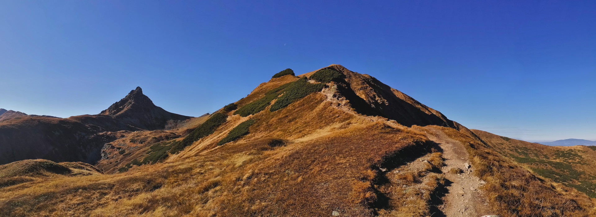 volovec-zapadne-tatry-jiri-kolinsky-25-10-2024 (57)u.jpg